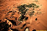 Survol d'une oasis, Chinguetti, Mauritanie