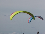 IMG_7015